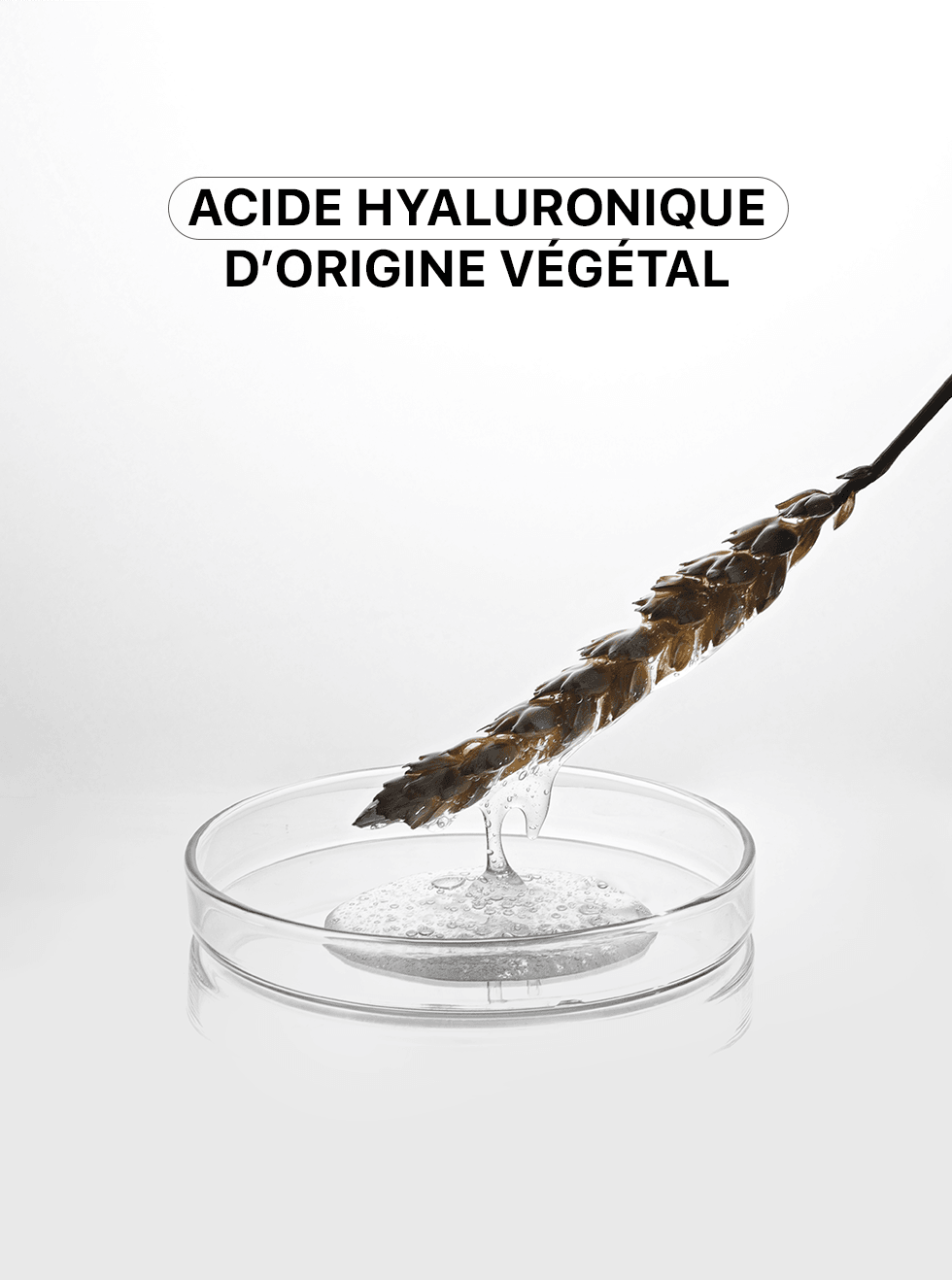 HYDRA_GUMCAREKIT_7