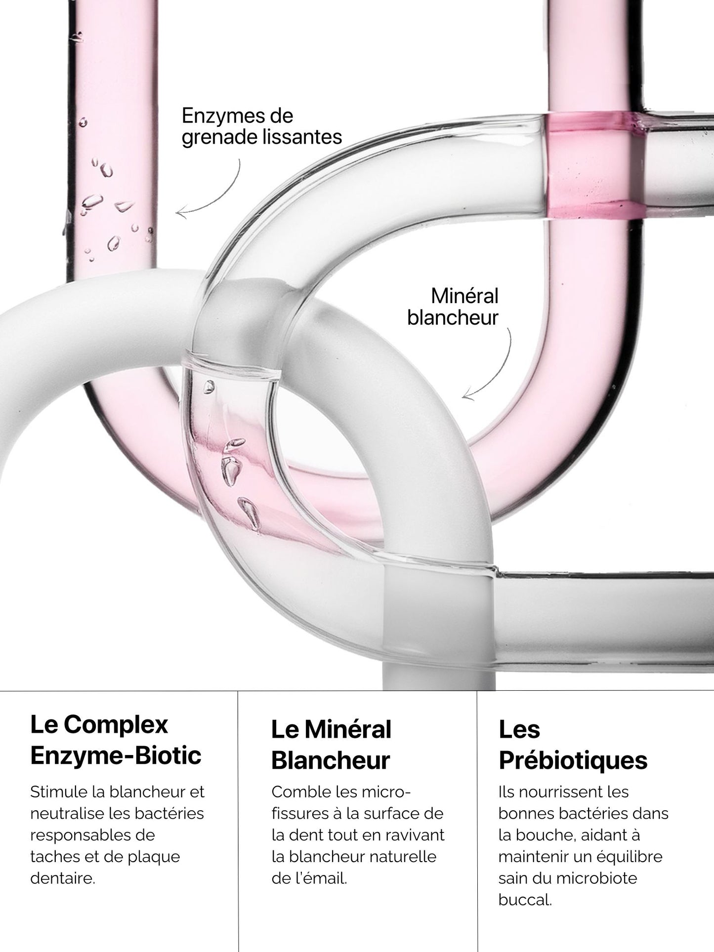 Micro-Essence Blancheur Anti-plaque