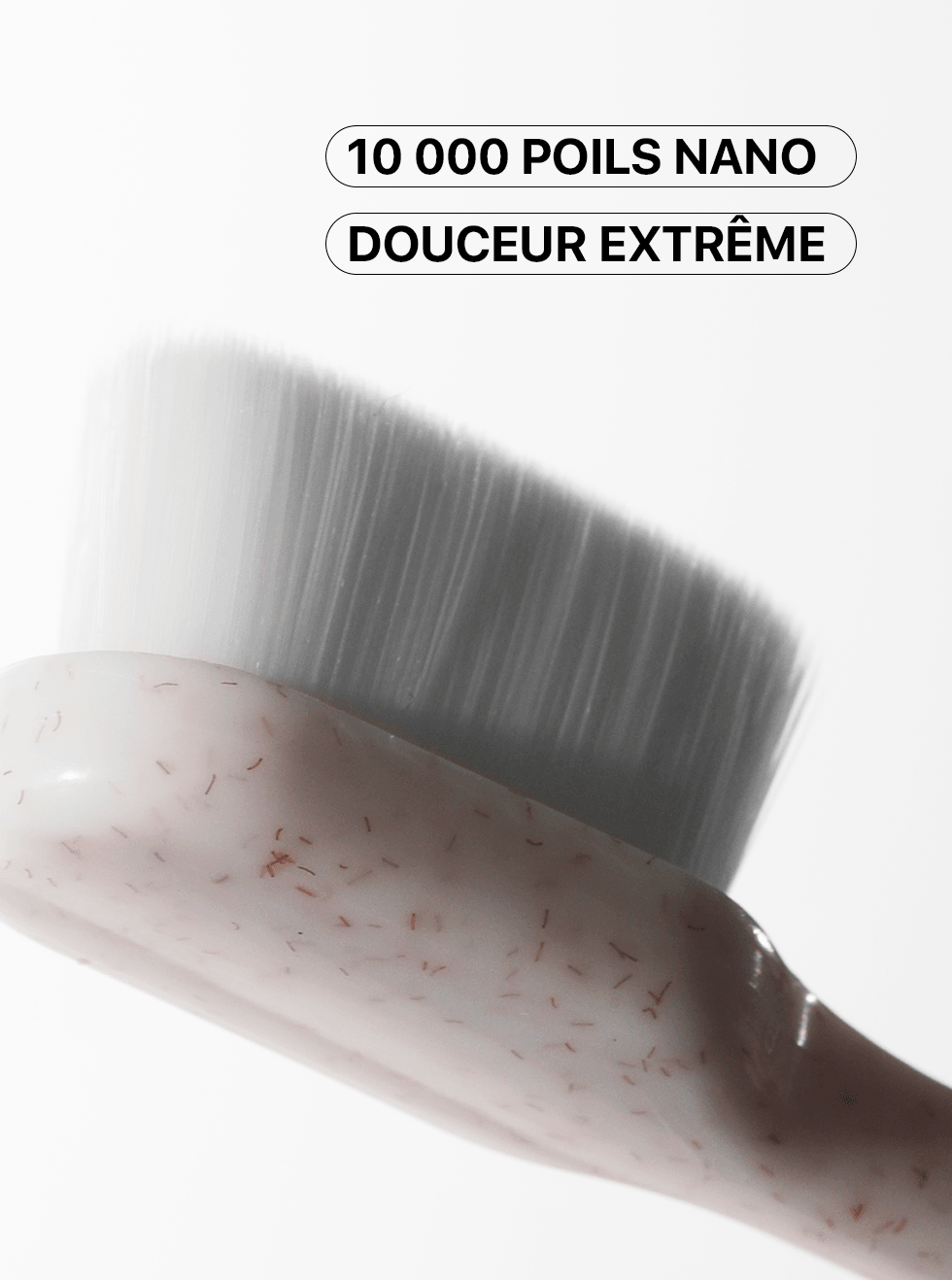 Brosse_a_dents_polissante_2