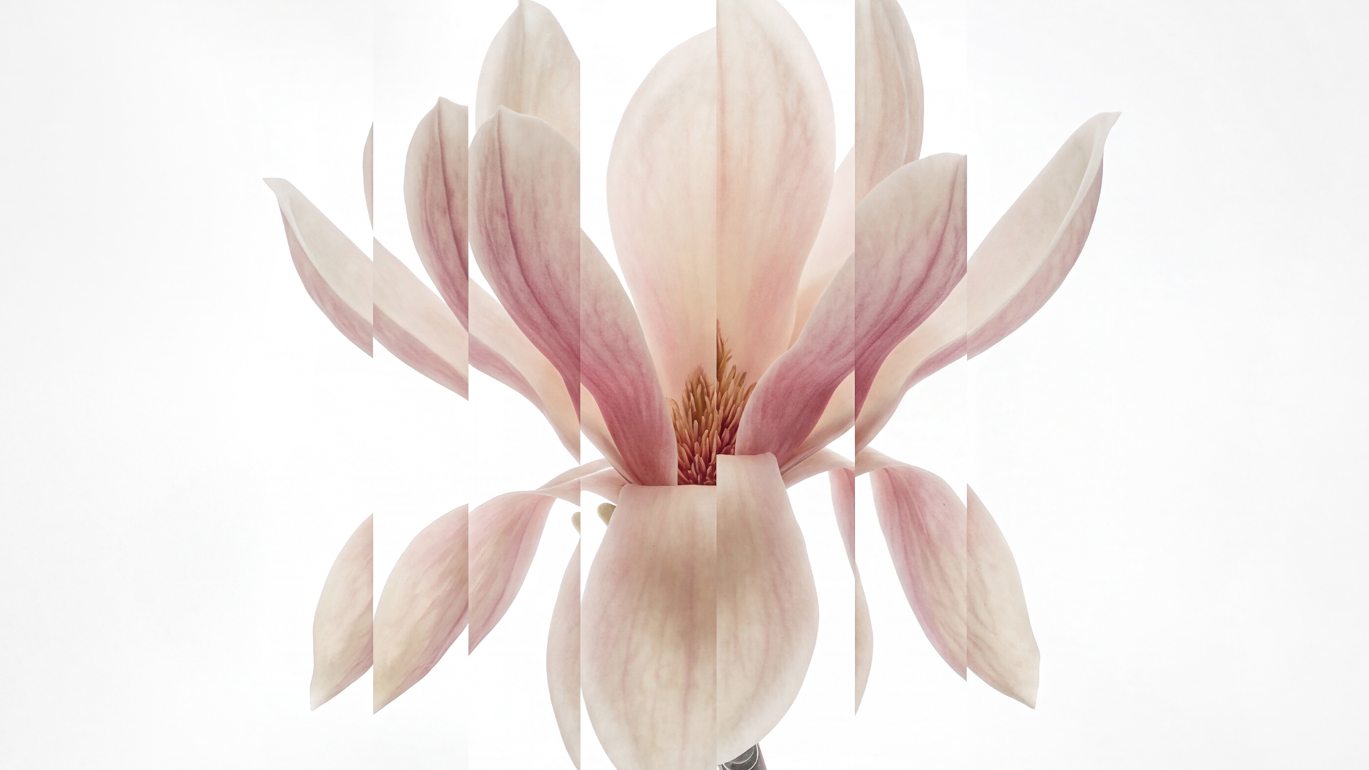 Spring allergies: why is your mouth so affected?