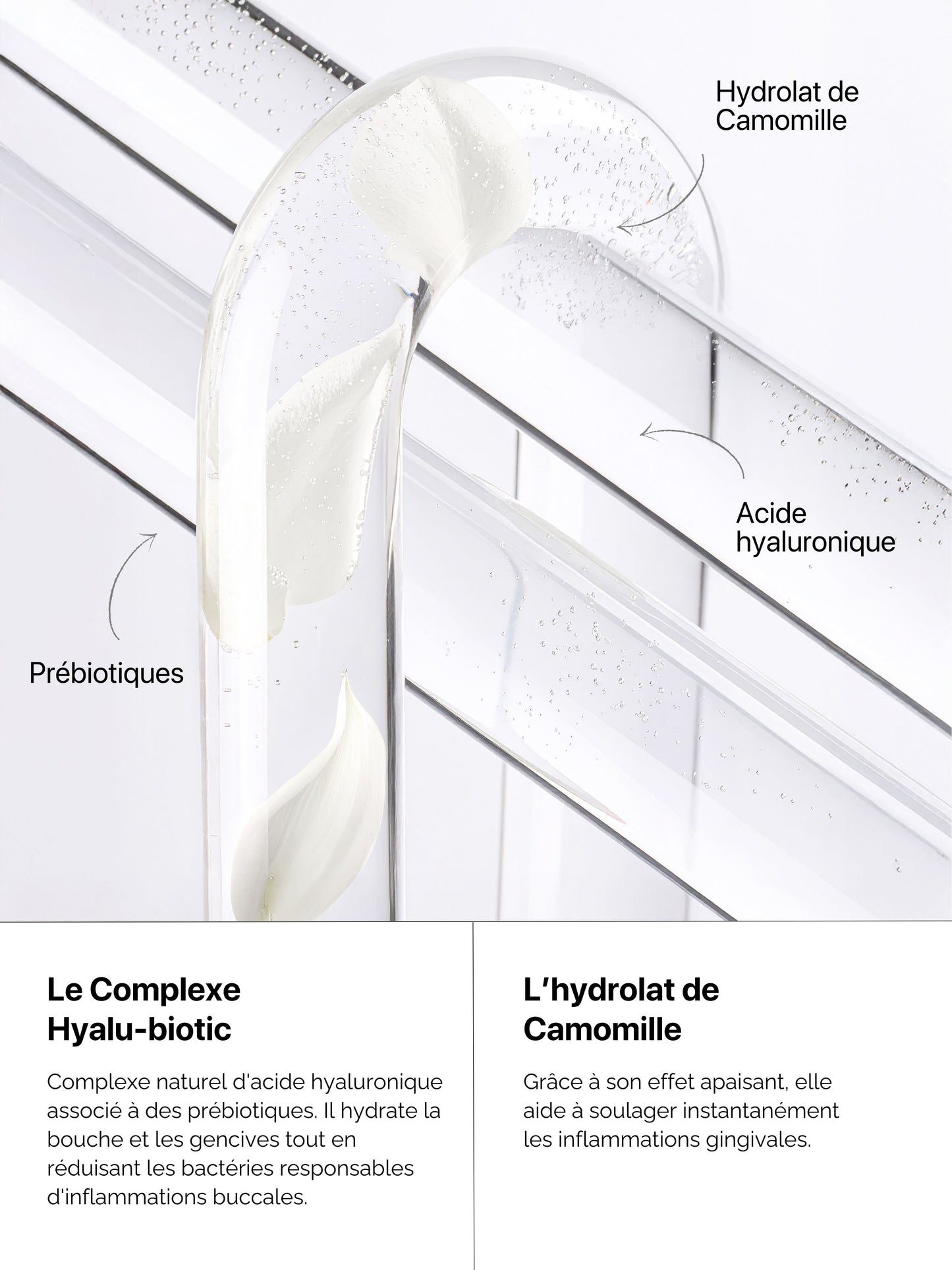 Micro-Émulsion Gencives Hydra-Confort