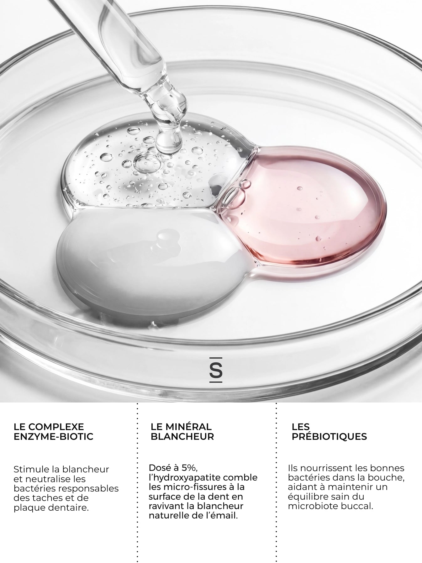 Kit Holistic Oral Care